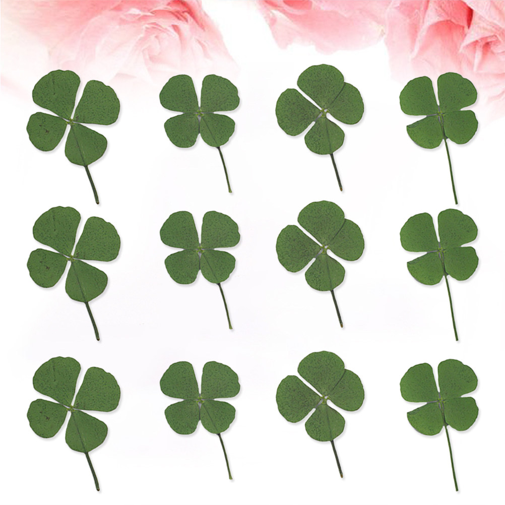 12Pcs Four Leaf Clover Dried C - Resin Craft Material ulasan dan harga